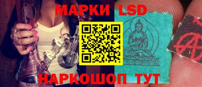молекула духа Кингисепп