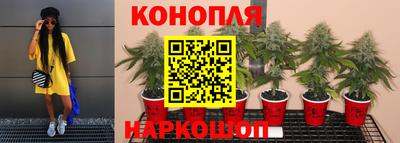 прущие грибы Кинель