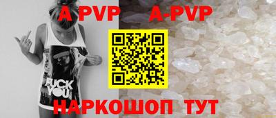 молекула духа Кингисепп