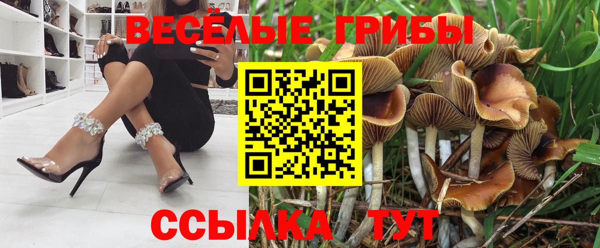 Псилоцибиновые грибы Magic Shrooms Шадринск